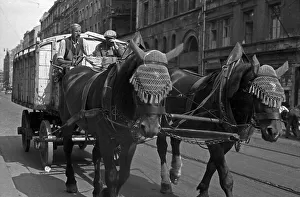 Era dopo la guerra a Monaco è stato scelto come città di riferimento per il progetto, ma fu poi trasferito ad Amsterdam