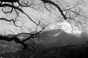Ausblick Prints: Nationalpark Berchtesgaden