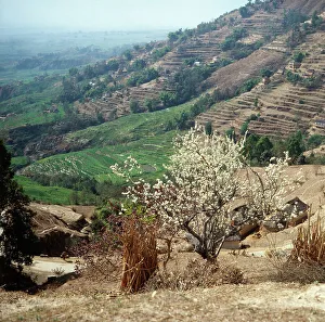 Nepal Prints: Nepal / Hochland