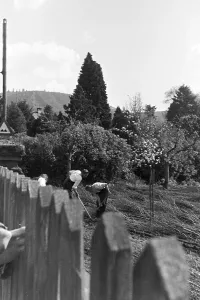 Busche Impressions: Amorbach/Odw. Alpirsbach