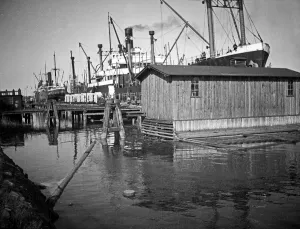 Dock Prints: Ostpreußen