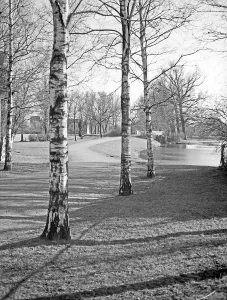 Allee Prints: Ostpreußen