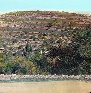 Palastina Palästina