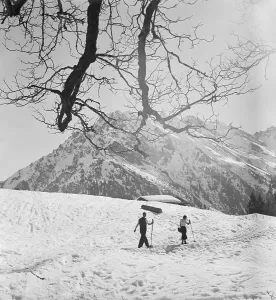 Cross Country Skiing Stampe: Skigebiet Bayern