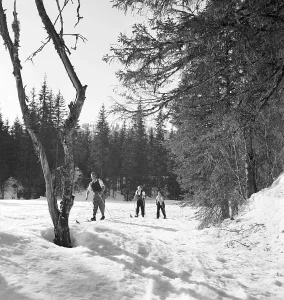 Southern Germany Stampe: Skigebiet Bayern