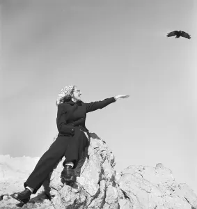 Birds Stampe: Skigebiet Bayern
