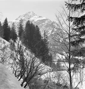 Skiabfahrt Stampe: Skigebiet Bayern