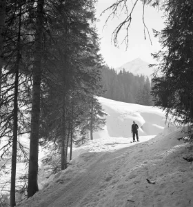 Wandering And Holidays Stampe: Skigebiet Bayern