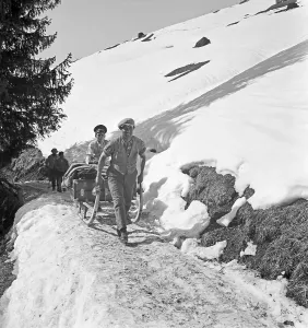 Skid Stampe: Skigebiet Bayern