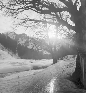 Southern Germany Stampe: Skigebiet Bayern