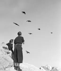 Birds Stampe: Skigebiet Bayern