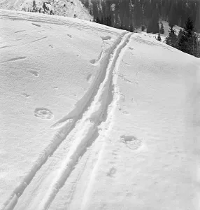 Southern Germany Stampe: Skigebiet Bayern