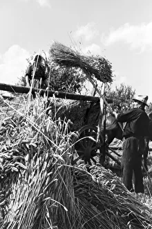 Vidas rurales cotidianas en Alemania, décadas de 1930.
