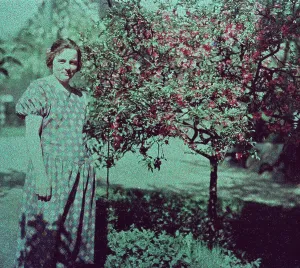Impressions de Principale prise de couleur d'une visite aux jardins botaniques de la Flora à Colgne en Allemagne dans les années 1920 Jakob Volk Impressions: Köln
