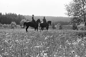 Ausritt Impressions: Freudenstadt, Reiten
