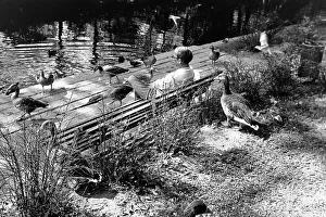 Bench Prints: Reise durch Schweden