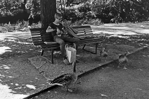 Bench Prints: Reise durch Schweden
