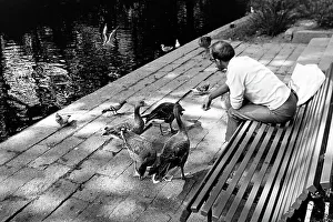 Bench Prints: Reise durch Schweden