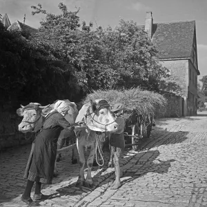Franken Prints: Rothenburg ob der Tauber