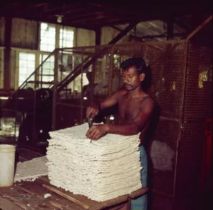 Sri Lanka Drucke: Sri Lanka, Ceylon, Kautschuk-Verarbeitung in Ceylon