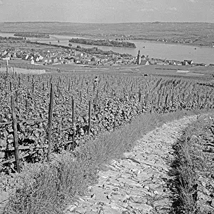 Rüdesheim