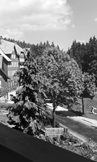 Ruhestein