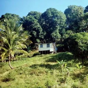Westindische Inseln Impressions: St. Lucia