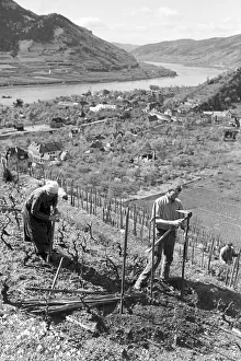 Schöne, arme Wachau