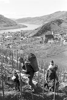 La hermosa y pobre Wachau