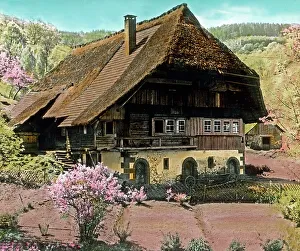 Schwarzwald