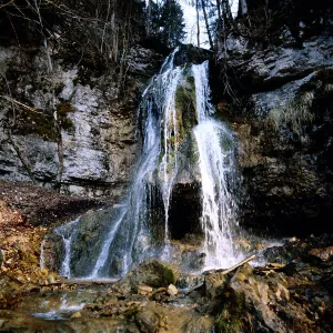 Schwarzwald