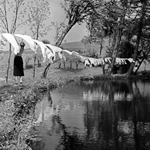 Drying Prints: Schwarzwald