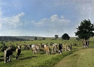 Schweizfahrt