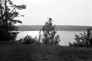 Siljansee Prints: Siljansee