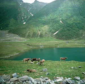 Silvretta