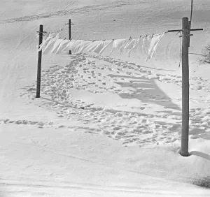 Ford Prints: Skiausflug Ford