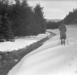Ford Prints: Skiausflug Ford