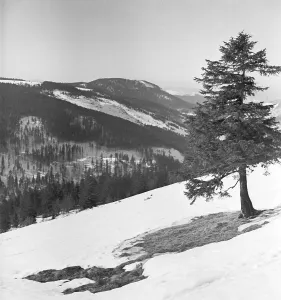 Feldberg Prints: Skigebiet am Feldberg