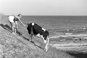 Fotografie di estate del Mar Baltico nel 1939
