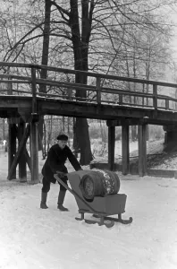 Inverno del Spreewald