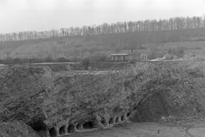 Fagocito a Rüdersdorf
