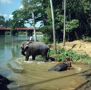 Sri Lanka