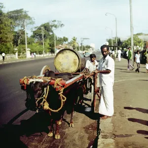 Sohn Drucke: Sri Lanka