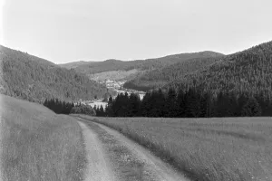Health Resort Prints: St. Blasien