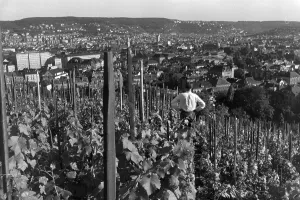 Lookout Prints: Stuttgart