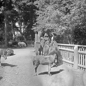 Zoobesuch Drucke: Stuttgart