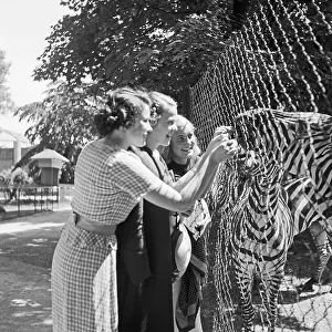 Zoobesuch Imprime: Stuttgart