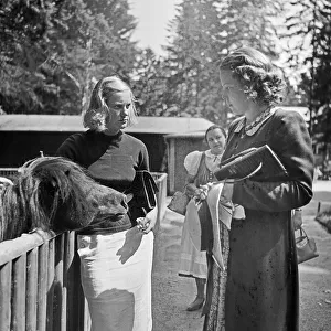 Zoobesuch Imprime: Stuttgart