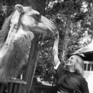 Zoobesuch Drucke: Stuttgart