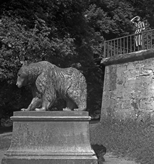 Bear Prints: Stuttgart
